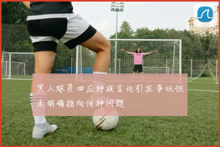 黑人球员回应种族言论引发争议但未明确指向何种问题